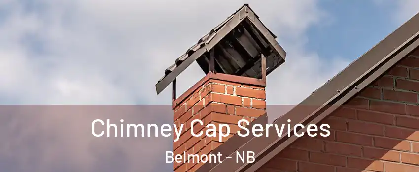  Chimney Cap Services Belmont - NB