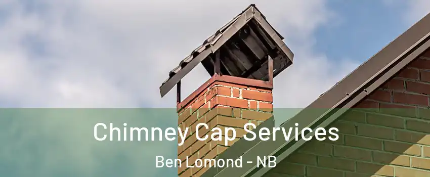  Chimney Cap Services Ben Lomond - NB