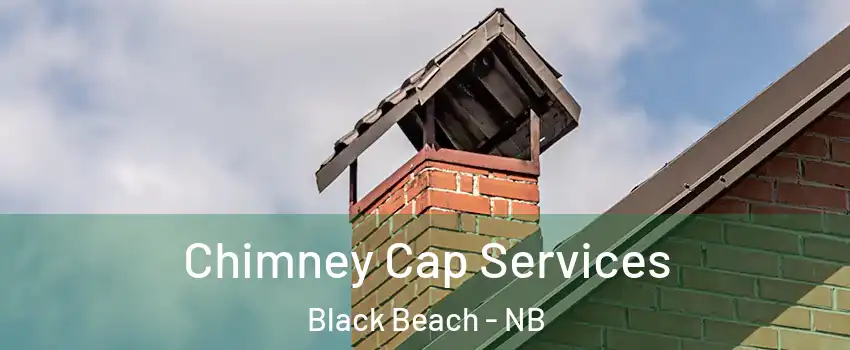  Chimney Cap Services Black Beach - NB