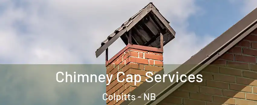  Chimney Cap Services Colpitts - NB