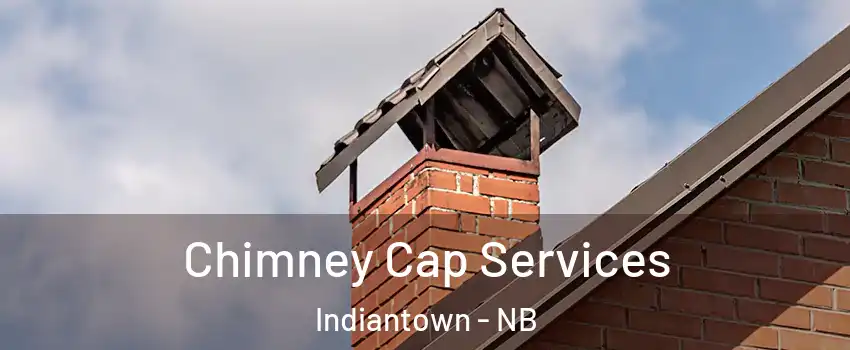  Chimney Cap Services Indiantown - NB