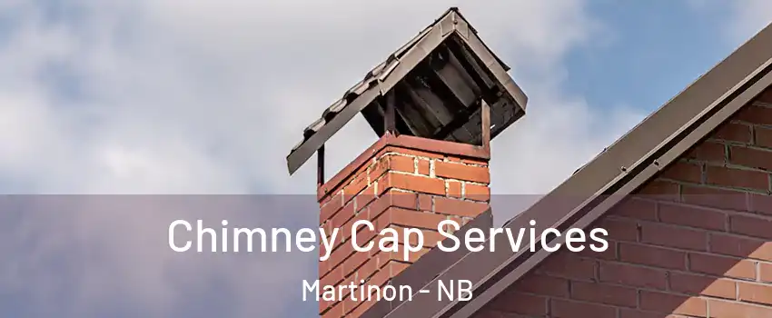  Chimney Cap Services Martinon - NB