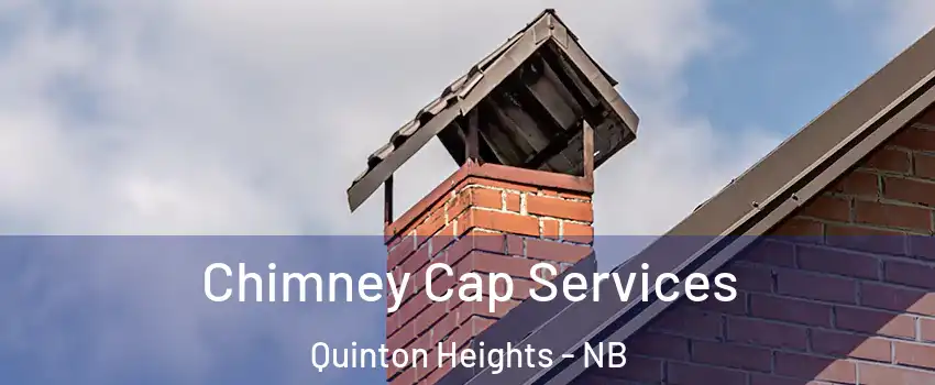  Chimney Cap Services Quinton Heights - NB
