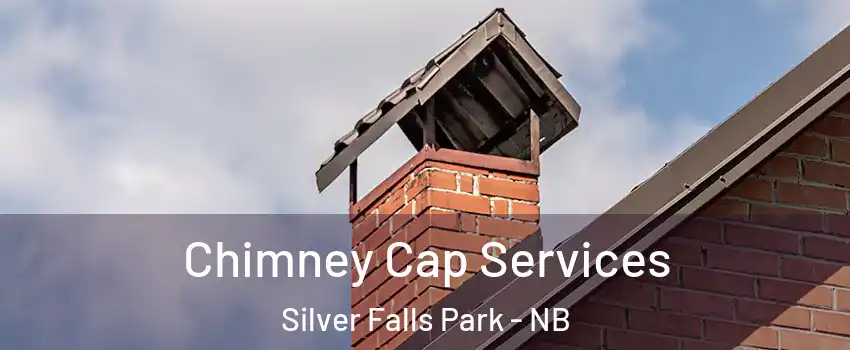  Chimney Cap Services Silver Falls Park - NB