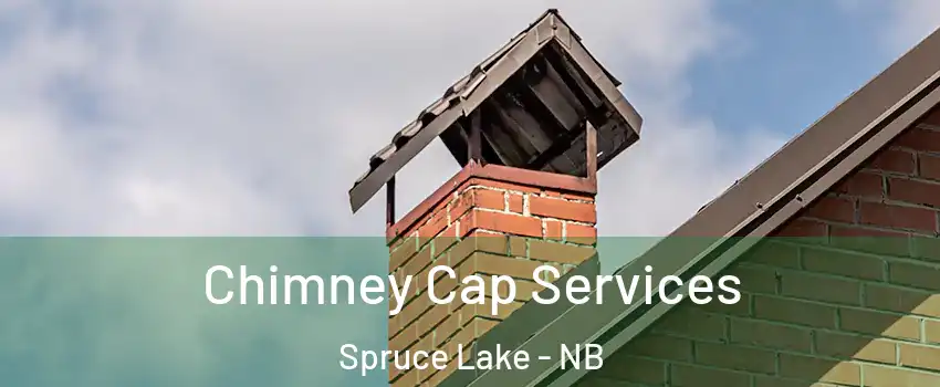  Chimney Cap Services Spruce Lake - NB