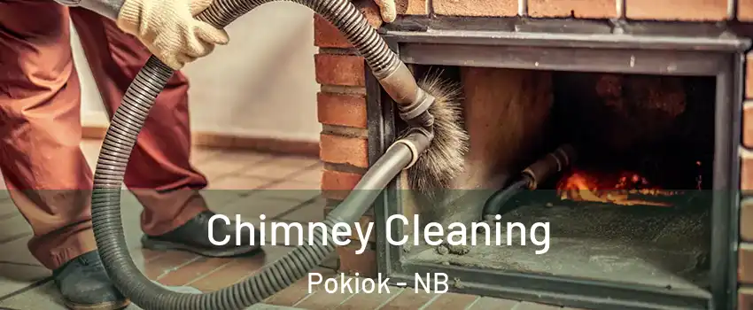  Chimney Cleaning Pokiok - NB