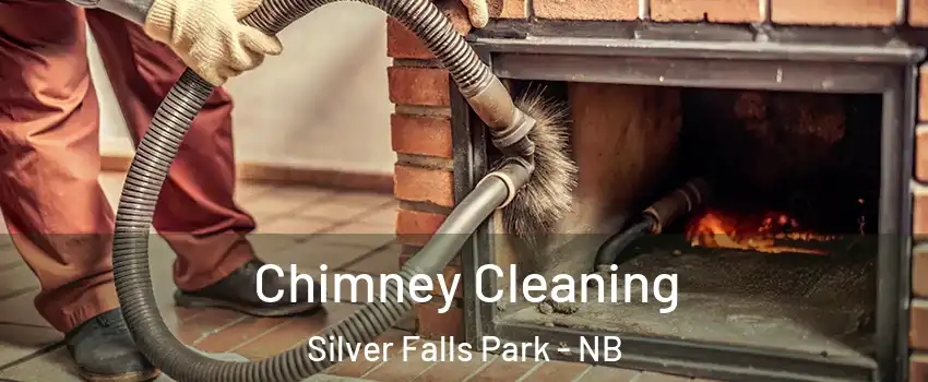  Chimney Cleaning Silver Falls Park - NB