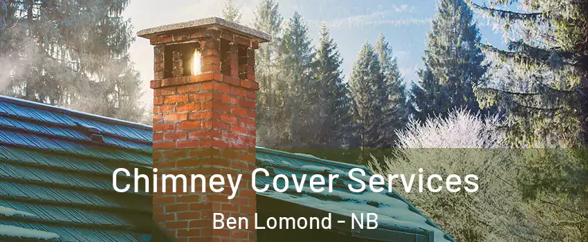  Chimney Cover Services Ben Lomond - NB
