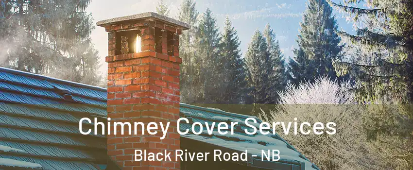  Chimney Cover Services Black River Road - NB