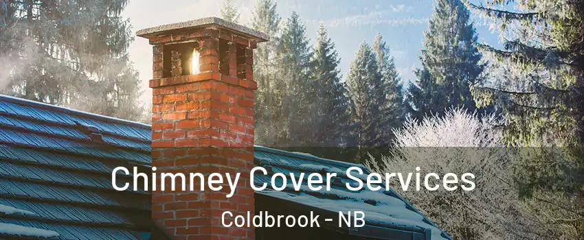  Chimney Cover Services Coldbrook - NB