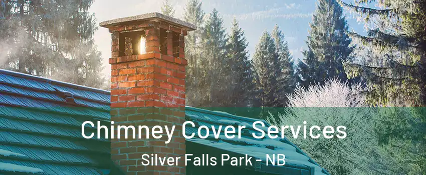  Chimney Cover Services Silver Falls Park - NB