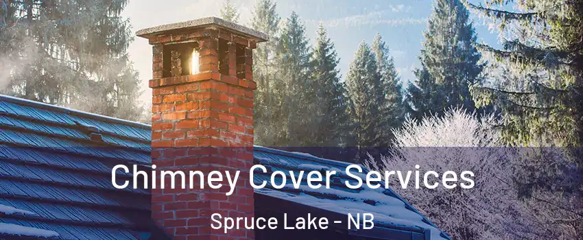  Chimney Cover Services Spruce Lake - NB