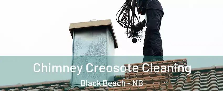  Chimney Creosote Cleaning Black Beach - NB