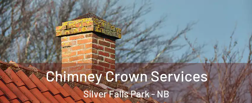  Chimney Crown Services Silver Falls Park - NB