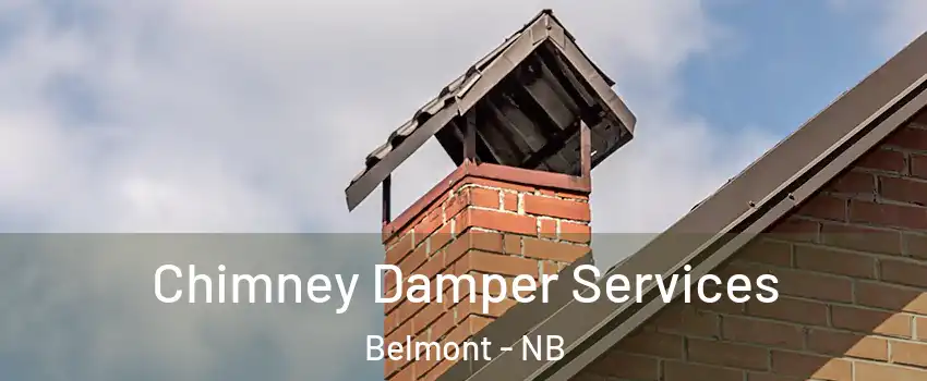  Chimney Damper Services Belmont - NB