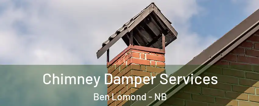  Chimney Damper Services Ben Lomond - NB