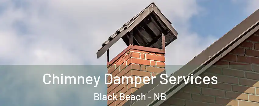  Chimney Damper Services Black Beach - NB