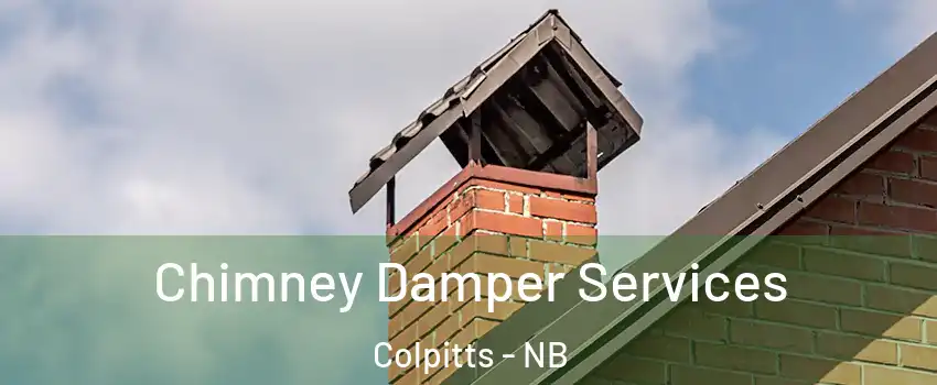  Chimney Damper Services Colpitts - NB