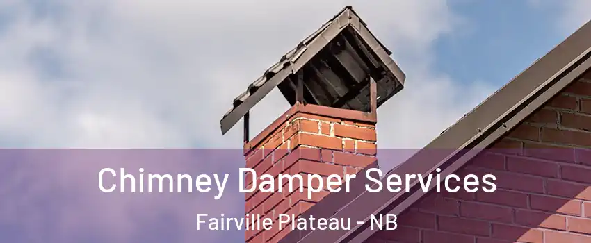  Chimney Damper Services Fairville Plateau - NB