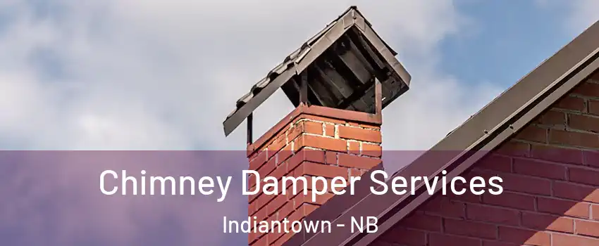  Chimney Damper Services Indiantown - NB