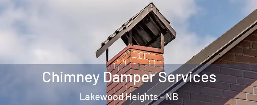  Chimney Damper Services Lakewood Heights - NB