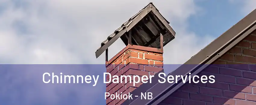  Chimney Damper Services Pokiok - NB