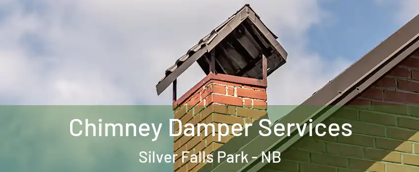  Chimney Damper Services Silver Falls Park - NB