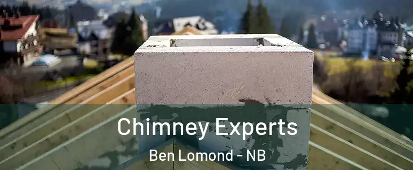 Chimney Experts Ben Lomond - NB