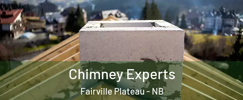 Chimney Experts Fairville Plateau - NB