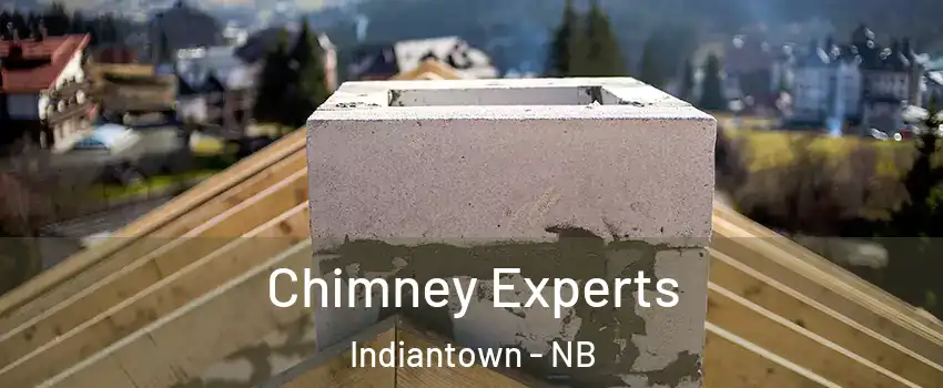 Chimney Experts Indiantown - NB