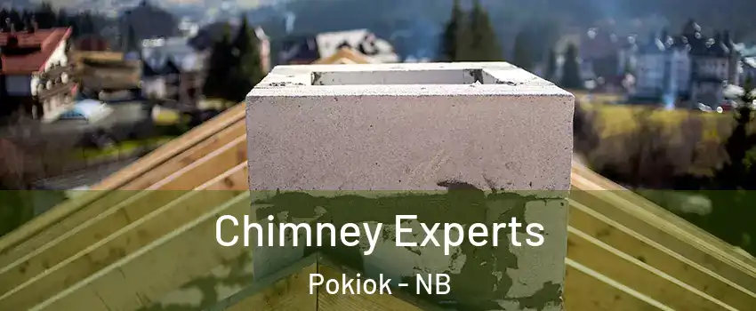 Chimney Experts Pokiok - NB