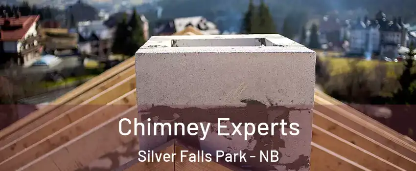 Chimney Experts Silver Falls Park - NB