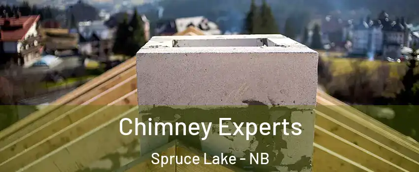 Chimney Experts Spruce Lake - NB