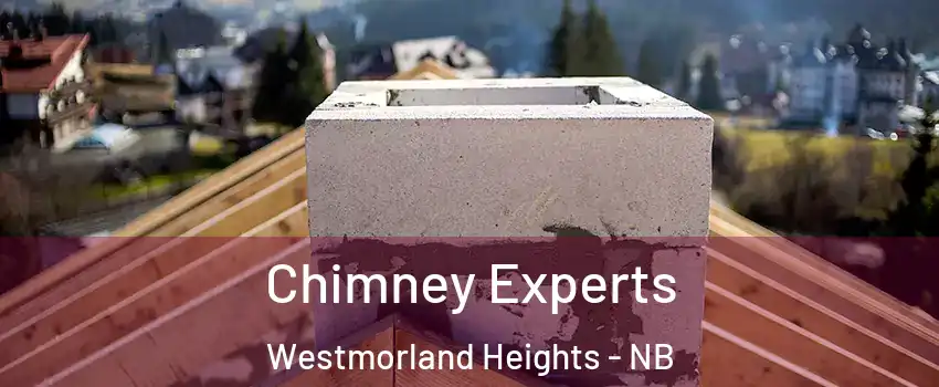 Chimney Experts Westmorland Heights - NB