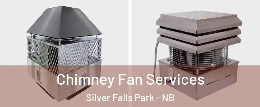  Chimney Fan Services Silver Falls Park - NB