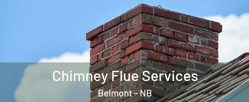  Chimney Flue Services Belmont - NB