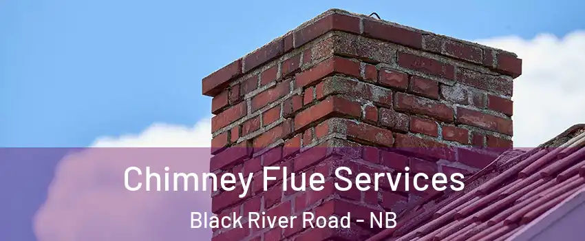  Chimney Flue Services Black River Road - NB