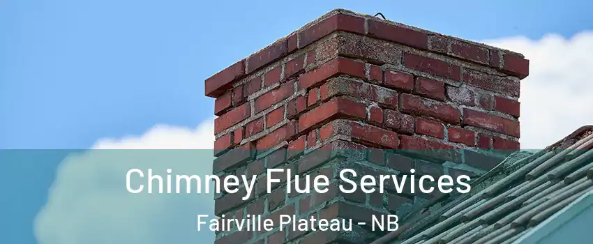  Chimney Flue Services Fairville Plateau - NB