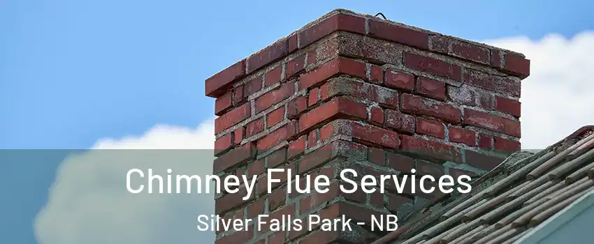  Chimney Flue Services Silver Falls Park - NB