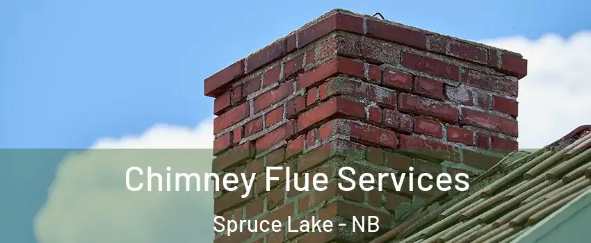  Chimney Flue Services Spruce Lake - NB