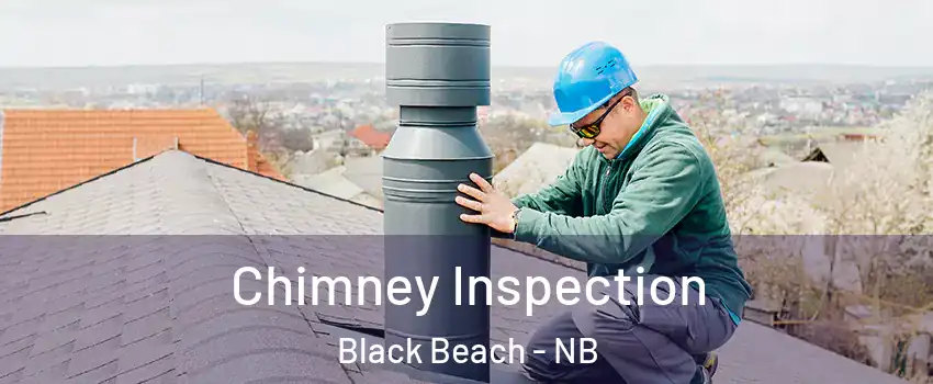  Chimney Inspection Black Beach - NB