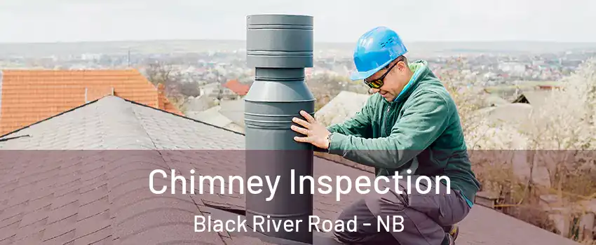  Chimney Inspection Black River Road - NB