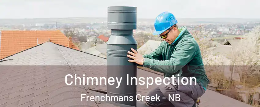  Chimney Inspection Frenchmans Creek - NB
