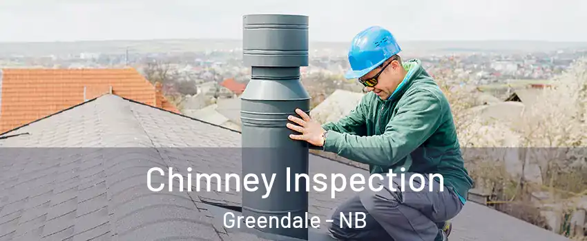 Chimney Inspection Greendale - NB