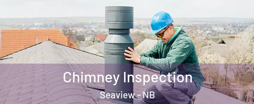  Chimney Inspection Seaview - NB