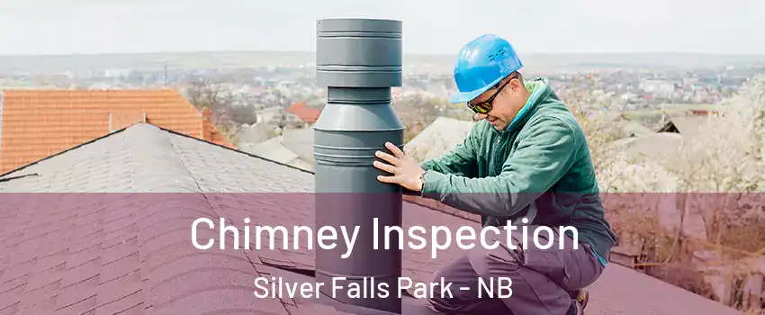  Chimney Inspection Silver Falls Park - NB