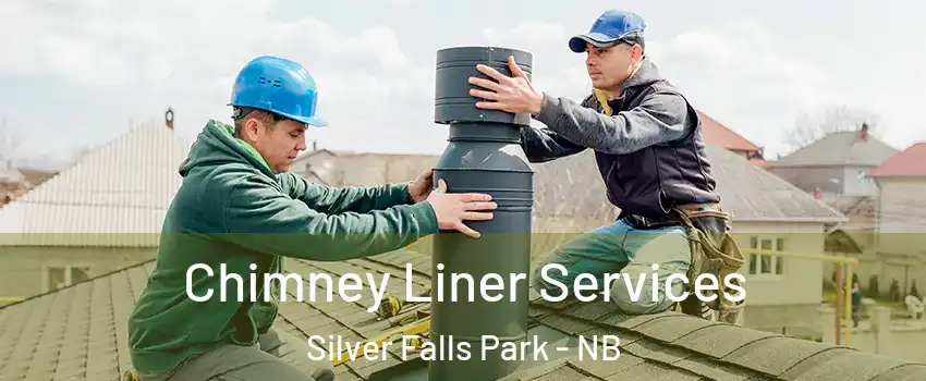  Chimney Liner Services Silver Falls Park - NB