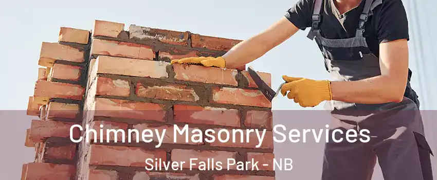  Chimney Masonry Services Silver Falls Park - NB