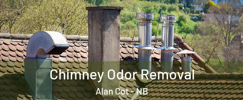  Chimney Odor Removal Alan Cot - NB