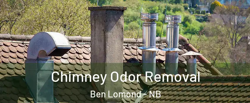  Chimney Odor Removal Ben Lomond - NB